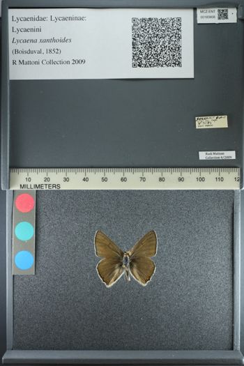 Media type: image;   Entomology 183806
